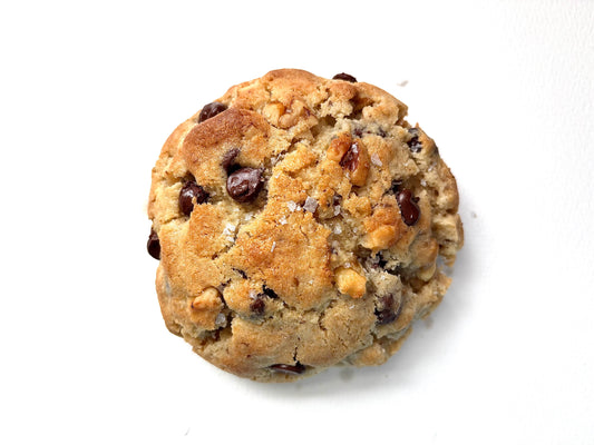 chocolate chip walnut cookie